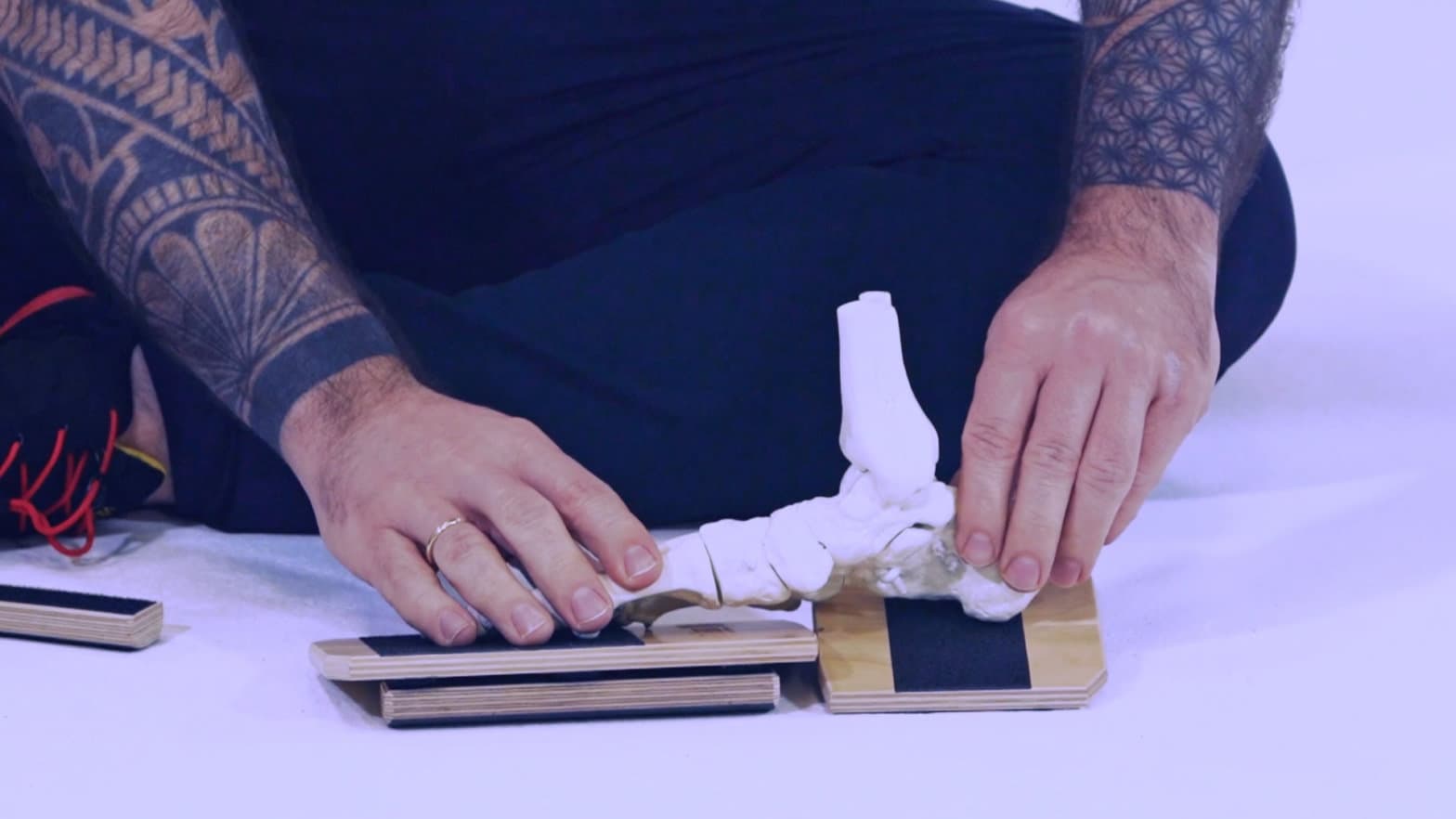 Foot skeleton model placed on the BlackBoard elements
